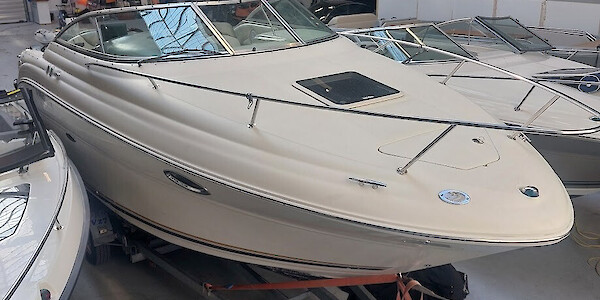 Sea Ray 250 Amberjack - Marinepalvelu